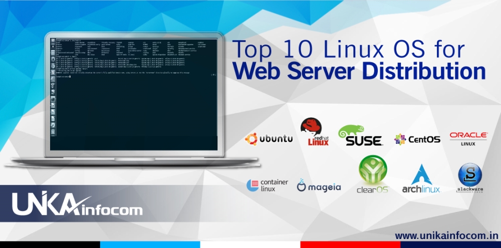 Top 10 Linux OS for Web Server Distribution,Top Linux OS